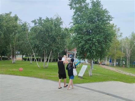 李老师
