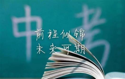 王老师