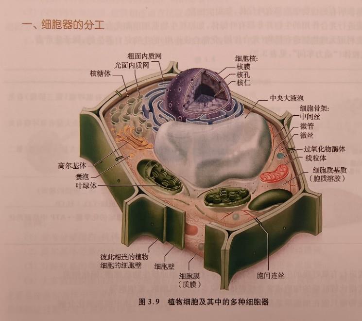 沈阳家教网-王老师