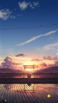 王老师