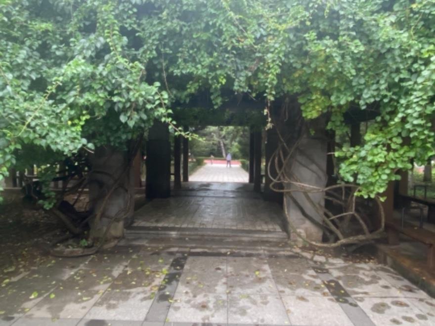 沈阳家教网-毕老师