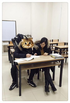 张老师