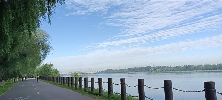刘老师