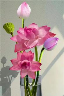 崔老师