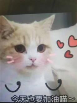 张老师