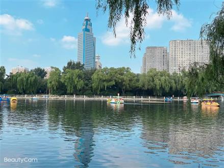 李老师