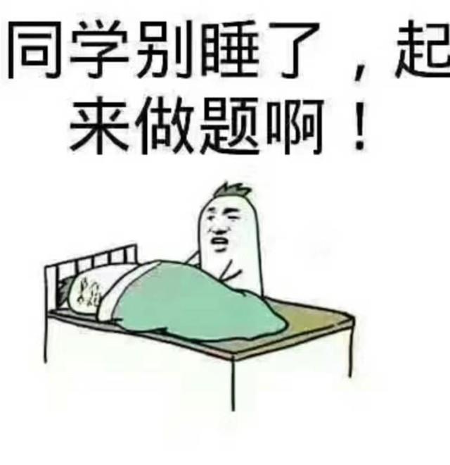 沈阳家教网-迟老师