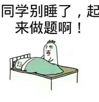 迟老师