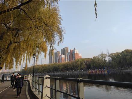于老师