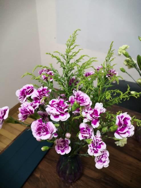 沈阳家教网-柏老师
