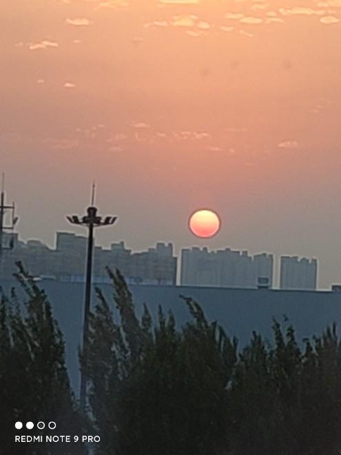 沈阳家教网-朱老师