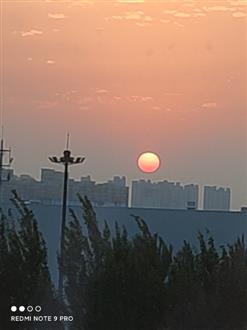 朱老师