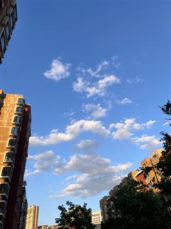 海老师