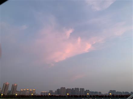 高老师