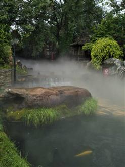 杜老师