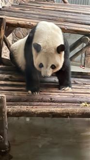 于老师