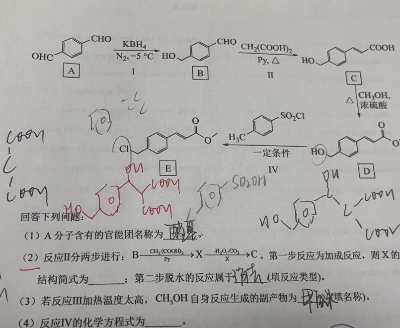 沈阳家教网-高老师