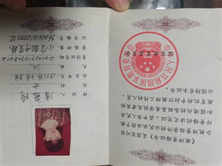 潘老师