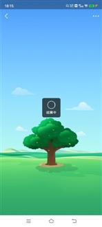 小老师