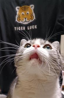 李老师