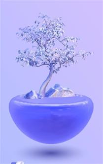 李老师