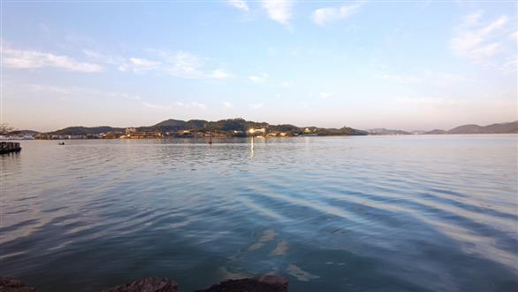 海老师