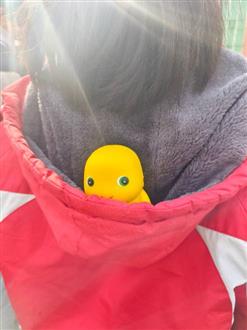 宋老师