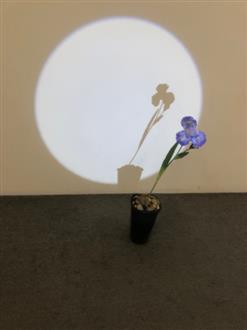 张老师