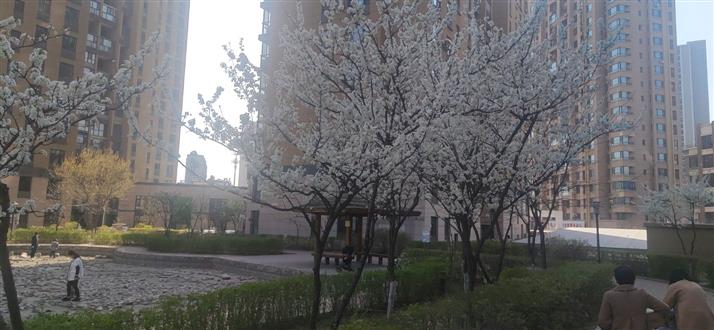 侯老师