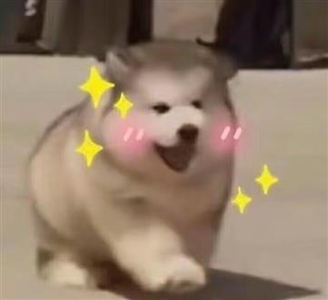 张老师