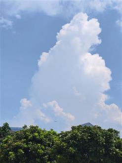 宋老师
