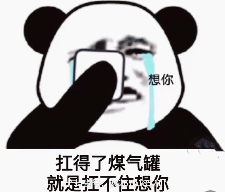沈阳家教网-董老师