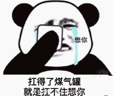 董老师