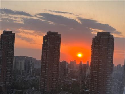 刘老师