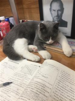 宛老师