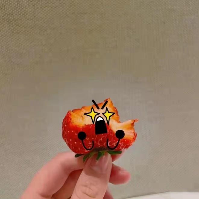 沈阳家教网-陈老师