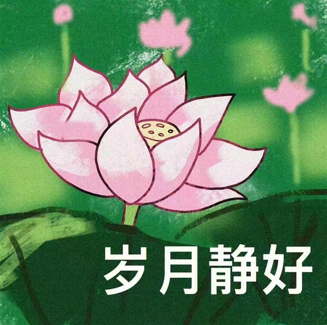 沈阳家教网-房老师