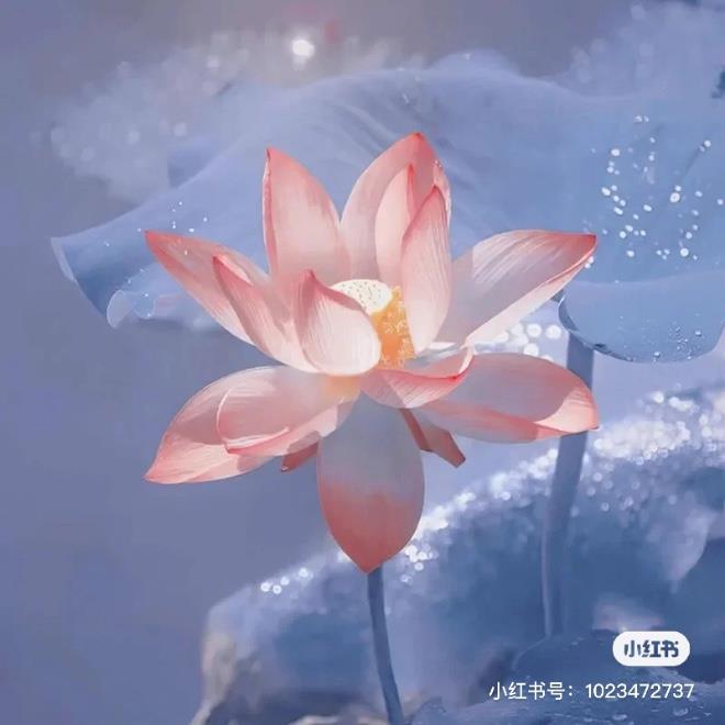 沈阳家教网-张老师