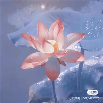 张老师