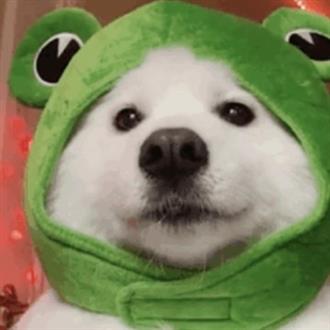张老师