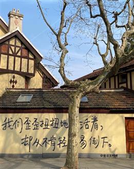 妮老师