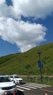 李老师