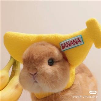 王老师