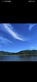高老师