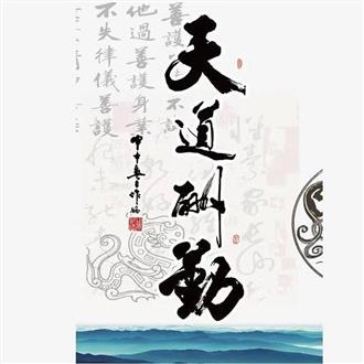 金老师