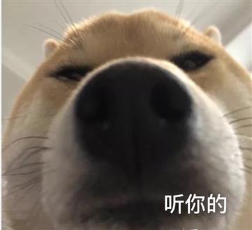 何老师