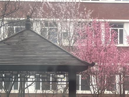 方老师