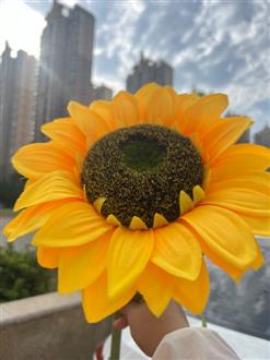 地老师