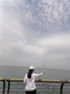 齐老师