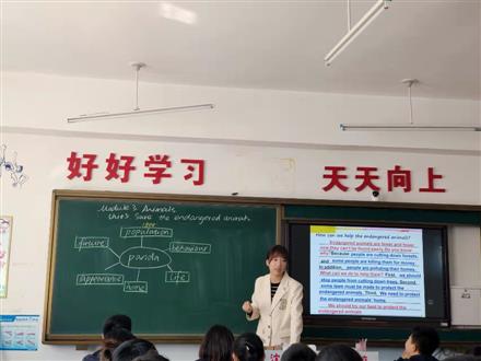 蔡老师
